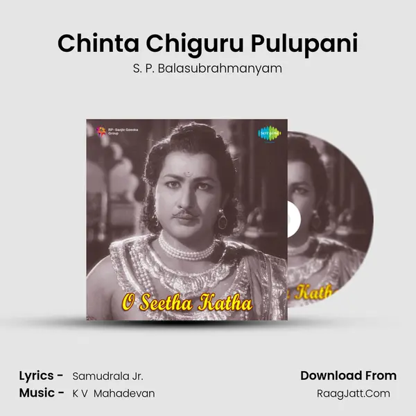 Chinta Chiguru Pulupani MP3 Song by S. P. Balasubrahmanyam Cover