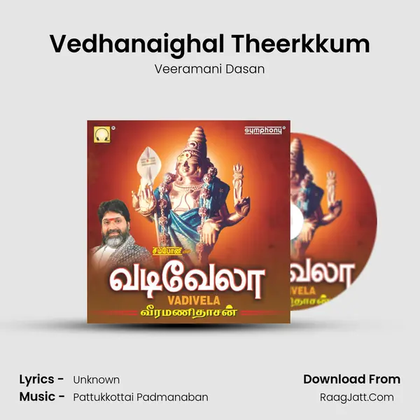 Vedhanaighal Theerkkum MP3 Song by Veeramani Dasan Cover