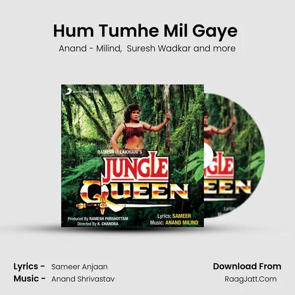 Hum Tumhe Mil Gaye (Sad Version) MP3 Song by Anand - Milind Cover
