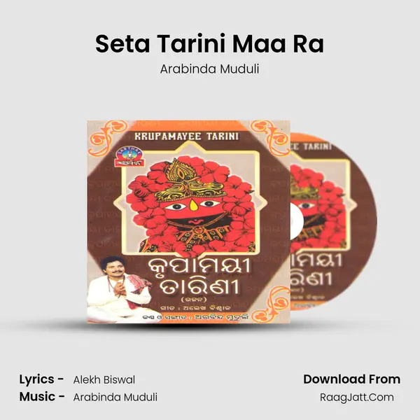 Seta Tarini Maa Ra MP3 Song by Arabinda Muduli Cover