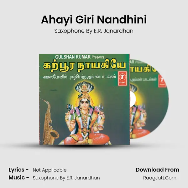 Ahayi Giri Nandhini MP3 Song by Saxophone By E.R. Janardhan Cover