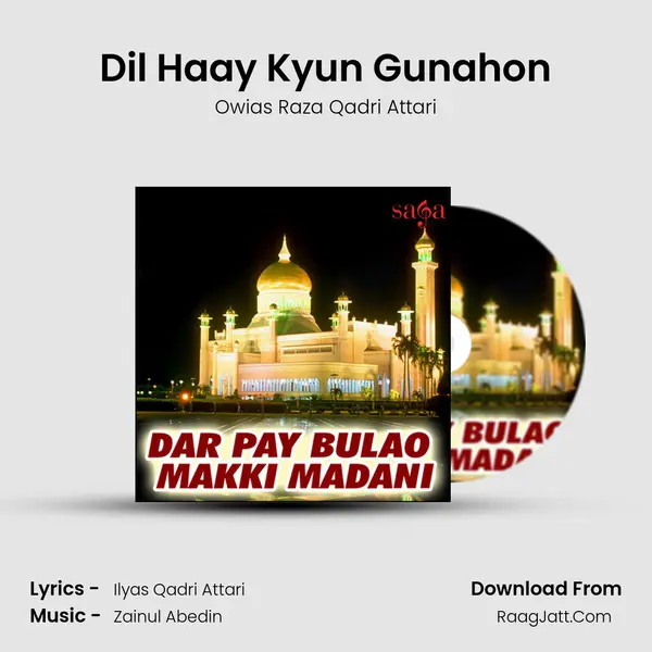 Dil Haay Kyun Gunahon MP3 Song by Owias Raza Qadri Attari Cover