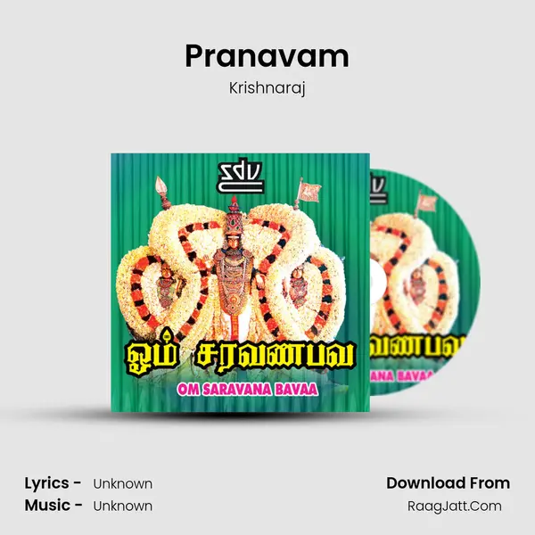 Pranavam MP3 Song by Krishnaraj Cover