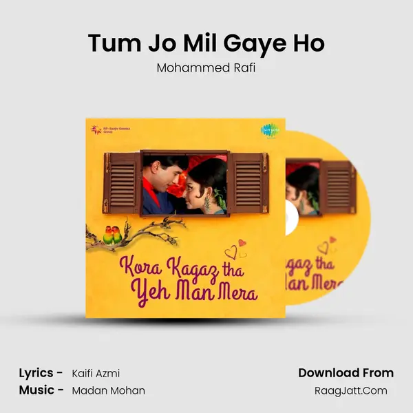 Tum Jo Mil Gaye Ho Cover