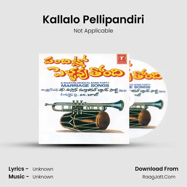 Kallalo Pellipandiri MP3 Song by Not Applicable Cover