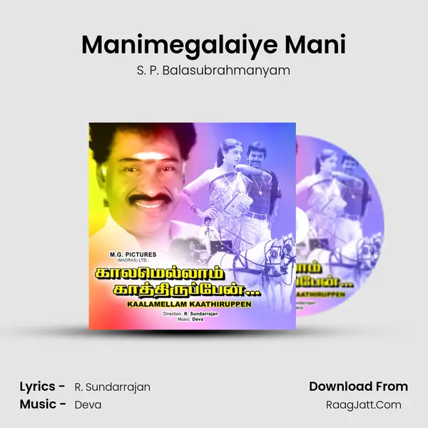 Manimegalaiye Mani MP3 Song by S. P. Balasubrahmanyam Cover