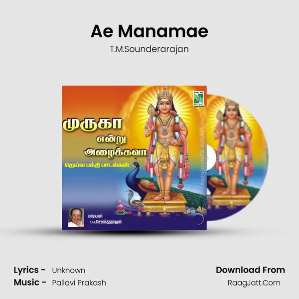 Ae Manamae MP3 Song by T.M.Sounderarajan Cover