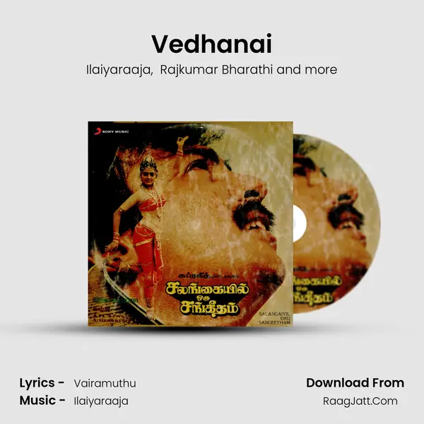 Vedhanai MP3 Song by Ilaiyaraaja Cover