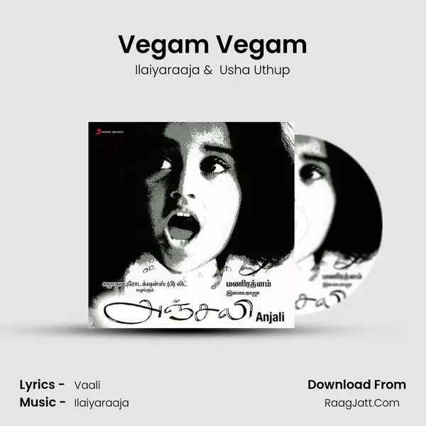 Vegam Vegam MP3 Song by Ilaiyaraaja Cover