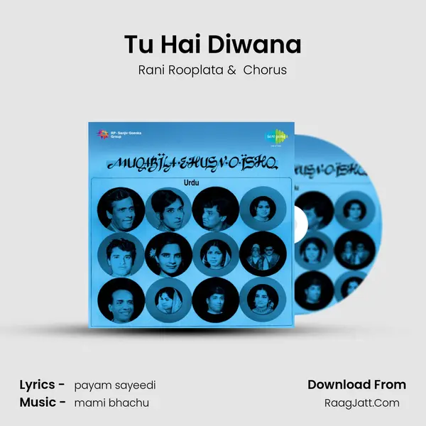 Tu Hai Diwana MP3 Song by Rani Rooplata Cover