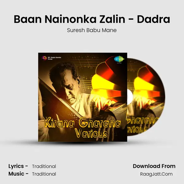 Baan Nainonka Zalin - Dadra MP3 Song by Suresh Babu Mane Cover