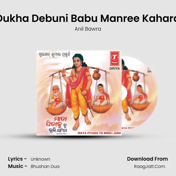 Dukha Debuni Babu Manree Kahara MP3 Song by Anil Bawra Cover