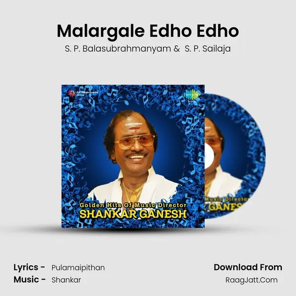 Malargale Edho Edho MP3 Song by S. P. Balasubrahmanyam Cover
