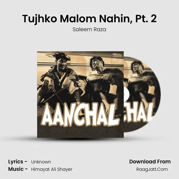 Tujhko Malom Nahin, Pt. 2 MP3 Song by Saleem Raza Cover