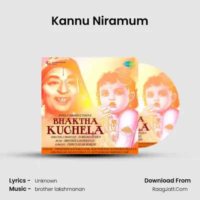 Kannu Niramum MP3 Song by  Cover