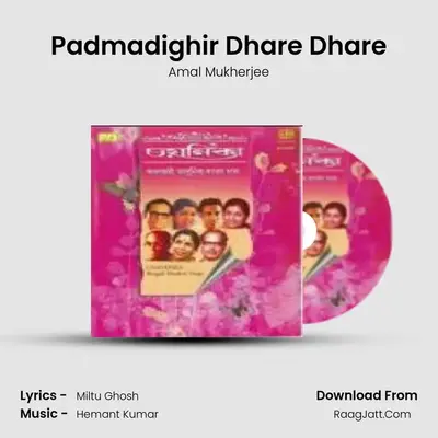 Padmadighir Dhare Dhare MP3 Song by Amal Mukherjee Cover