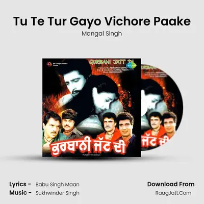 Tu Te Tur Gayo Vichore Paake MP3 Song by Mangal Singh Cover