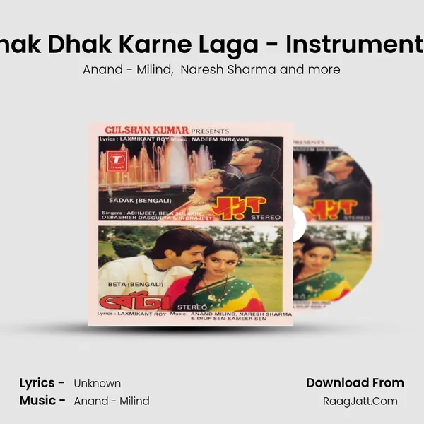 Dhak Dhak Karne Laga - Instrumental MP3 Song by Anand - Milind Cover