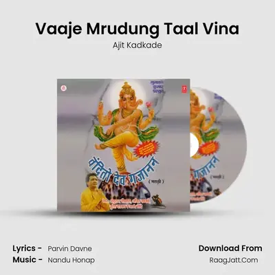 Vaaje Mrudung Taal Vina MP3 Song by Ajit Kadkade Cover