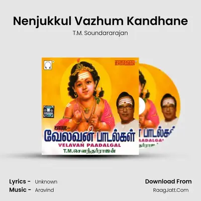 Nenjukkul Vazhum Kandhane MP3 Song by T.M. Soundararajan Cover