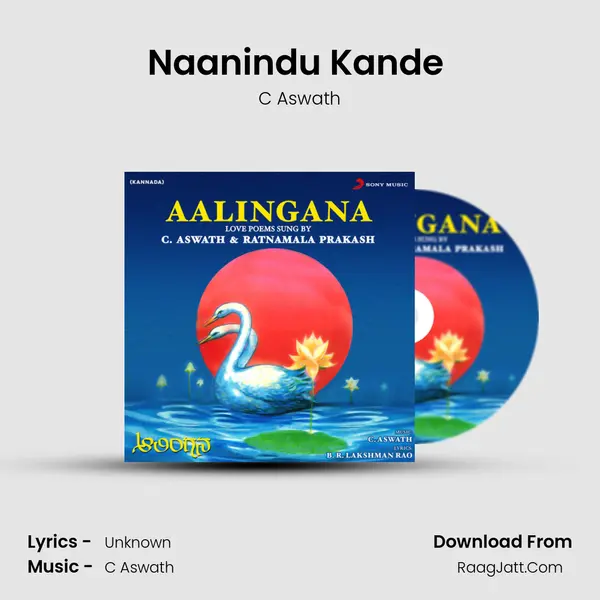 Naanindu Kande (Instrumental) MP3 Song by C Aswath Cover