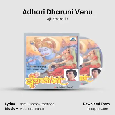 Adhari Dharuni Venu MP3 Song by Ajit Kadkade Cover