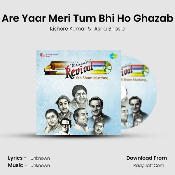 Are Yaar Meri Tum Bhi Ho Ghazab Cover