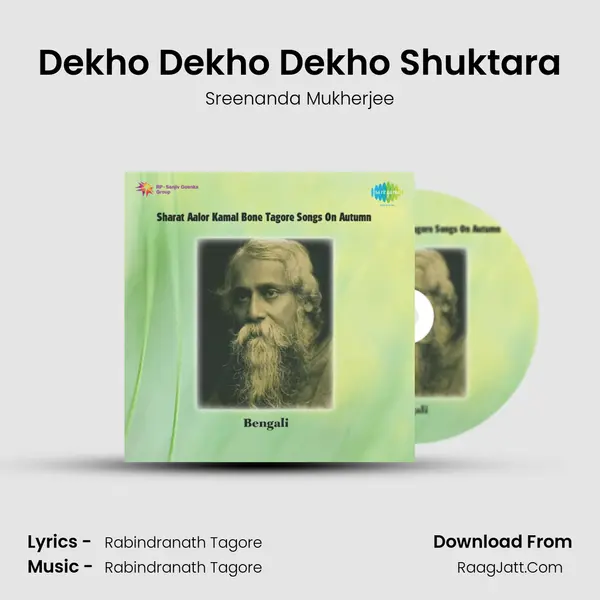 Dekho Dekho Dekho Shuktara MP3 Song by Sreenanda Mukherjee Cover