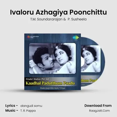 Kaadhal Padutthum Paadu - T.M. Soundararajan