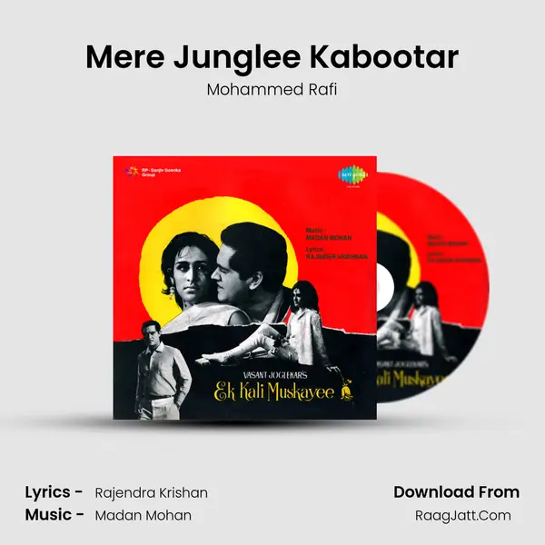 Mere Junglee Kabootar MP3 Song by Mohammed Rafi Cover