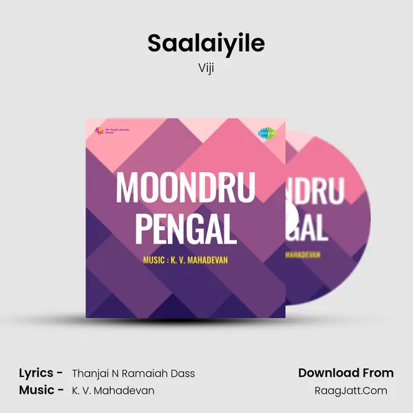 Saalaiyile MP3 Song by Viji Cover