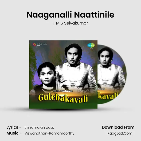 Naaganalli Naattinile MP3 Song by T M S Selvakumar Cover