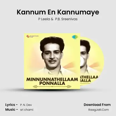 Kannum En Kannumaye MP3 Song by P Leela Cover