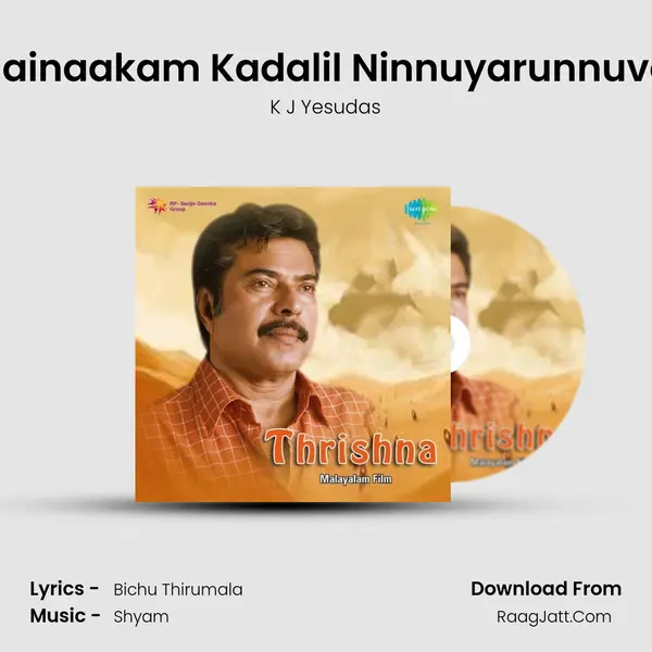 Mainaakam Kadalil Ninnuyarunnuvo (Male) MP3 Song by K J Yesudas Cover