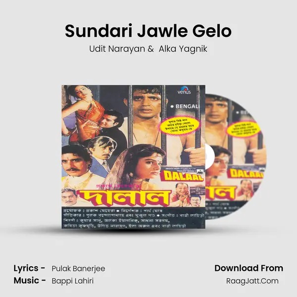 Sundari Jawle Gelo MP3 Song by Udit Narayan Cover