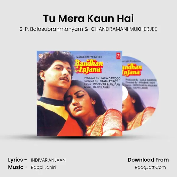 Tu Mera Kaun Hai mp3 song