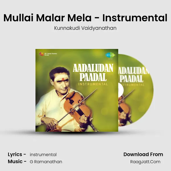Mullai Malar Mela - Instrumental MP3 Song by Kunnakudi Vaidyanathan Cover
