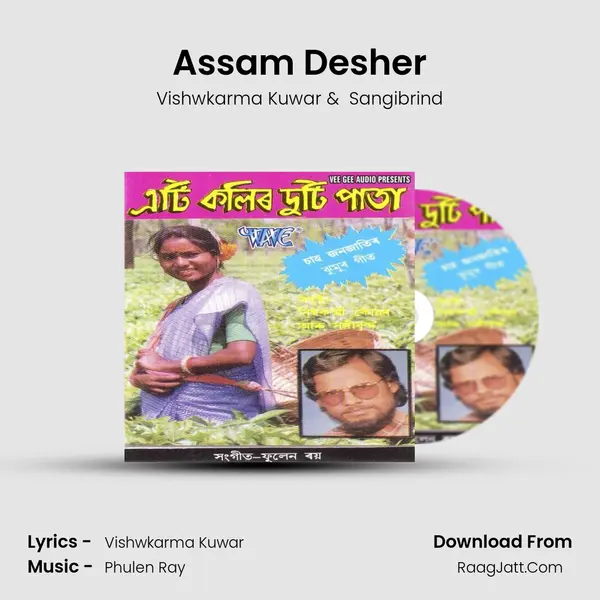 Assam Desher MP3 Song by Vishwkarma Kuwar Cover