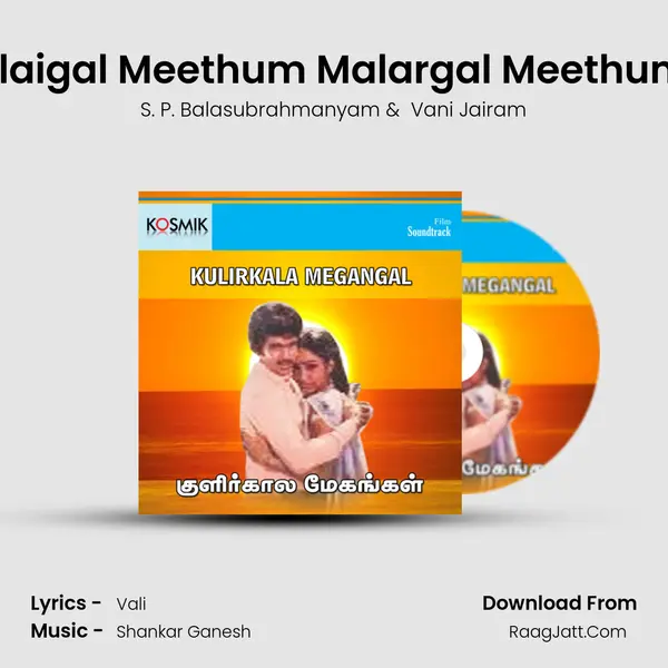 Illaigal Meethum Malargal Meethum MP3 Song by S. P. Balasubrahmanyam Cover