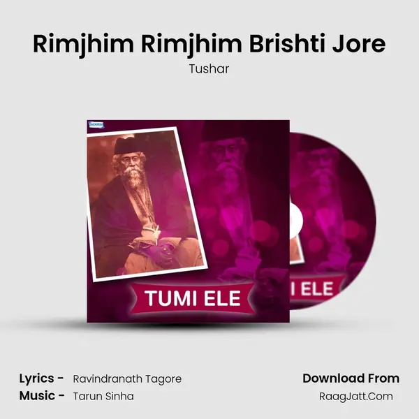 Rimjhim Rimjhim Brishti Jore MP3 Song by Tushar Cover