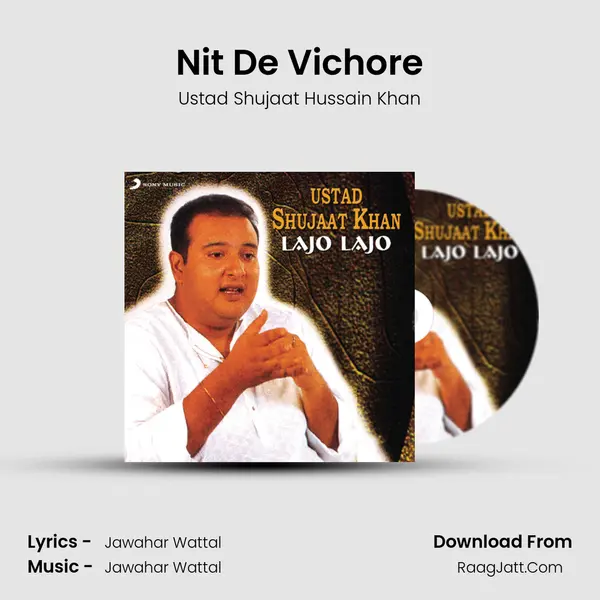 Nit De Vichore MP3 Song by Ustad Shujaat Hussain Khan Cover