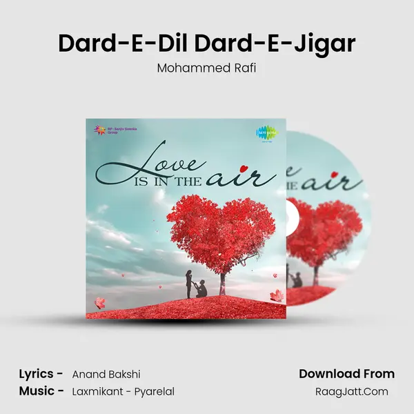 Dard-E-Dil Dard-E-Jigar Cover