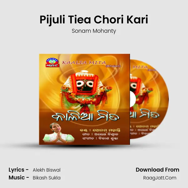 Pijuli Tiea Chori Kari MP3 Song by Sonam Mohanty Cover