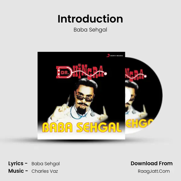 Introduction MP3 Song by Baba Sehgal Cover