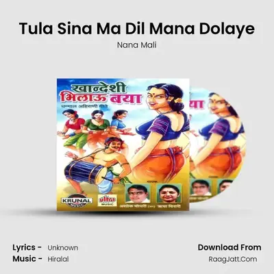 Tula Sina Ma Dil Mana Dolaye MP3 Song by Nana Mali Cover
