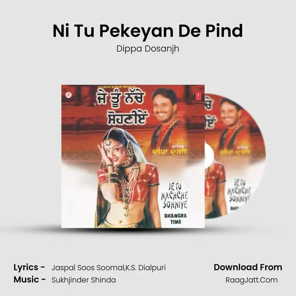 Ni Tu Pekeyan De Pind MP3 Song by Dippa Dosanjh Cover