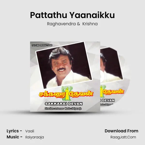 Pattathu Yaanaikku MP3 Song by Raghavendra Cover