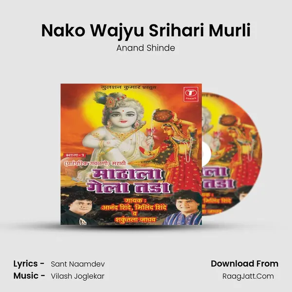 Nako Wajyu Srihari Murli MP3 Song by Anand Shinde Cover