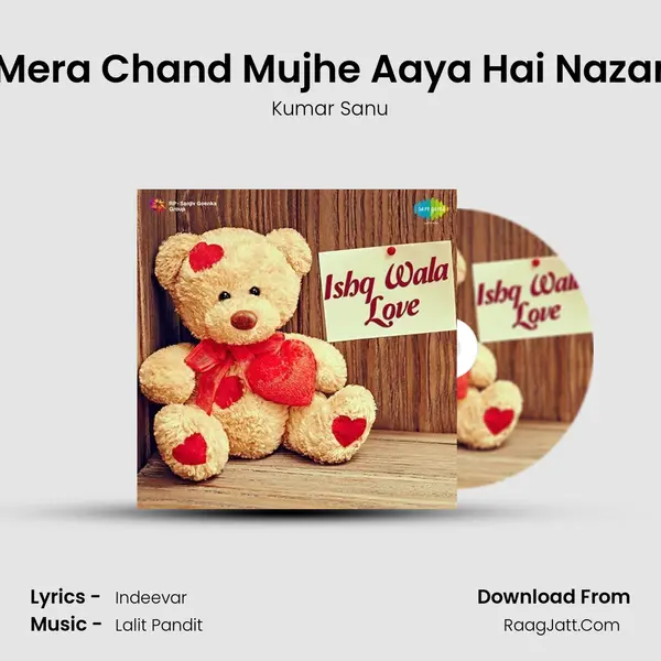 Mera Chand Mujhe Aaya Hai Nazar Cover