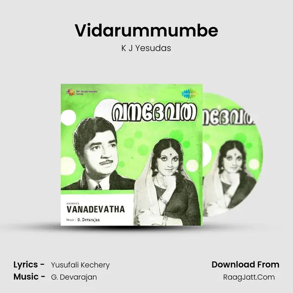 Vidarummumbe Cover